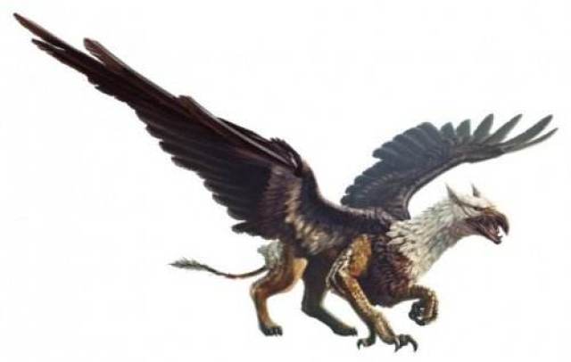 远古地中海狮鹫丨失落的 apex predator