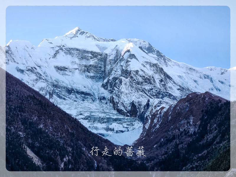 我在沙漠里迷路了三天，发现了一座会“反向走”的楼梯！