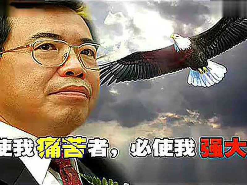 一生的故事之鹰鹫73