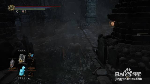 雨林地底骷髅兵｜一场惊心动魄的探险之旅