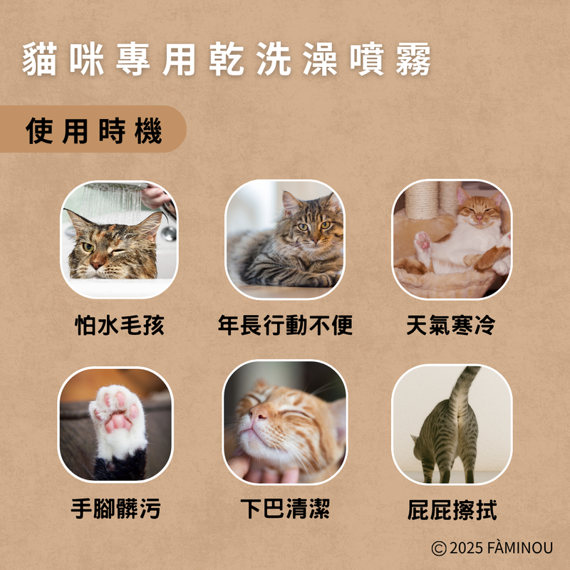 湖面上的神秘守护者·迷雾中的猫妖传说