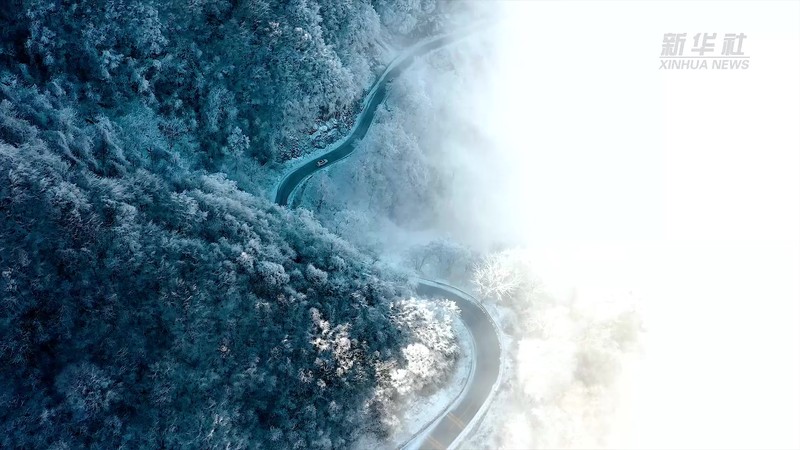 神农架的神秘传说：狮鹫与冰霜的奇遇