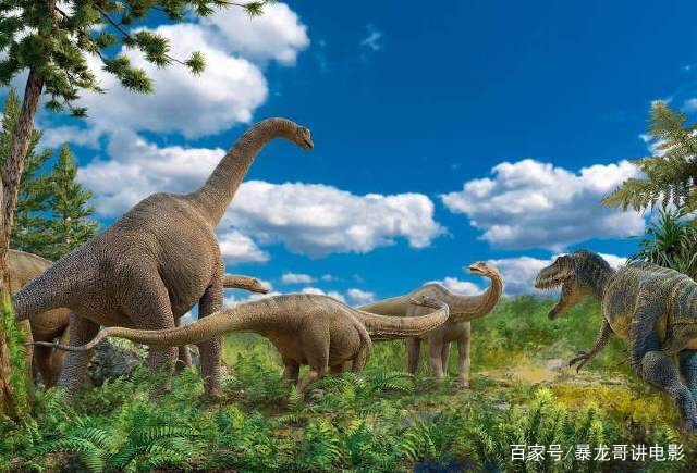 你说吧，霸王龙苏苏的故事！