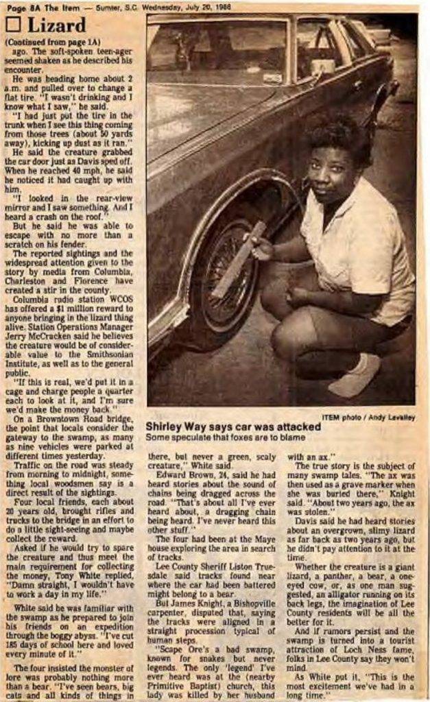 阿尔卑斯蜥蜴人风暴：一个未解之谜的探索