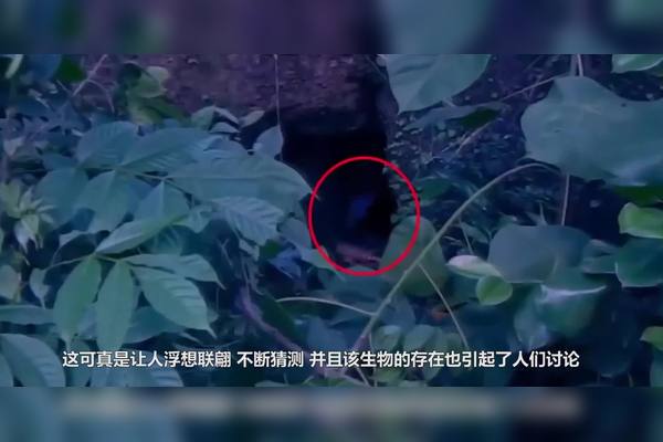 在迪拜老城区的巷子里,我听到了海妖的歌声! 在迪拜老城区的巷子里,我听到了海妖的歌声!
