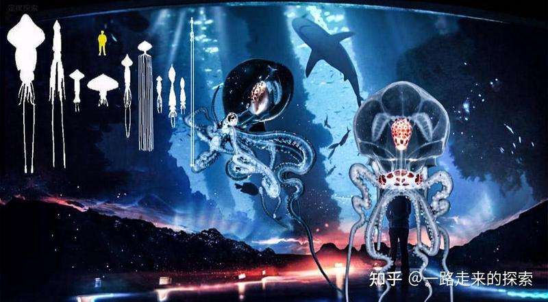 那晚,乌拉尔上空的神秘之光:一场改变认知的夜空奇观 那晚,乌拉尔上空的神秘之光:一场改变认知的夜空奇观