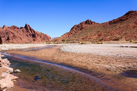 迷雾中的巨兽丨安第斯山脉的未解之谜