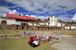 印加遗址的“磁性石鸟”？我差点以为自己看错了？