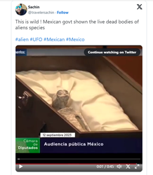 墨西哥湾的迷雾·一场生态与经济的双重考验