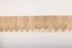 光明地中海银龙丨一场味觉与视觉的双重享受