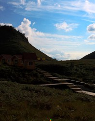 沙漠深处的石林谜题—那些消失的编号和未解的传说