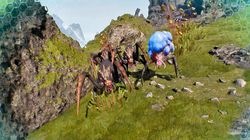 揭秘动物暴走巨石阵的神奇磁性石—一场自然界的奇异之旅