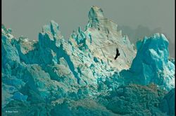 安第斯山的神秘螺旋丨古老智慧的视觉语言