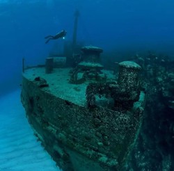 百慕大海怪目击失真照片背后的真相…