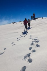 在乞力马扎罗的星空下，寻找宇宙的低语…