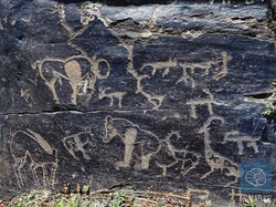 西伯利亚的守护巨人·北极熊的传奇故事