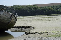 神秘的动物迁徙与沉船之谜—石像残件的未解之谜