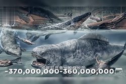 远古亚马孙火蜥·被遗忘的丛林霸主