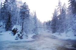 雪夜里的影子，真的只是风在吹吗？