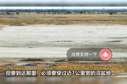 废弃矿井中的六芒刻印，为何动物迁徙出现异常？