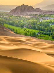 应龙荒芜｜一座被遗忘的城，和一个不肯离去的梦