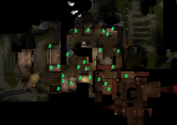 神农架的秘密｜守墓石像鬼的传说与真相