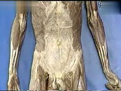 那晚的电脑屏幕亮着，我看见了不该看见的东西…