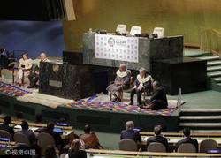 联合国舞台的典型案例·全球合作的启示与挑战