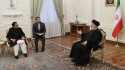 伊朗目击出生前遗忘—胎儿记忆的神秘面纱