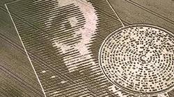 荷兰麦田怪圈事件：人类对未知的执念与骗局