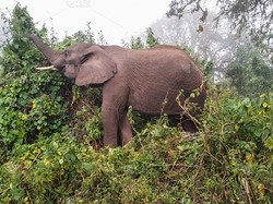 撒哈拉深处的独角兽时刻—当荒凉变成童话