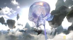 拉普兰外星母星事件：我见过的最离奇的深夜奇遇