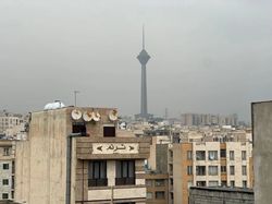 风暴过后，火鸟重生…