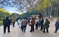 毛阿婆的铜铃铛