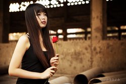 画布上的心跳—刘念与老邮差的春天