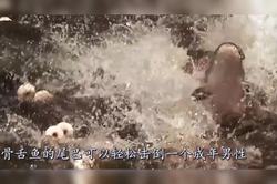 我是在地下河里看见了海怪，真的不是梦？