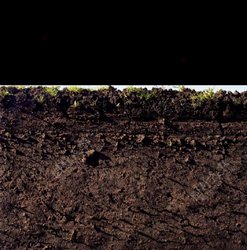 泥土里的秘密丨那些神秘莫测的土壤图案