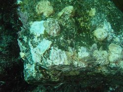 死海长鸣磁性石的神奇魅力！