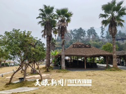 老屋里的烟火气丨天雨的农家乐奇遇