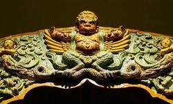 在山里遇见的金翅大鹏，我差点以为自己在做梦…