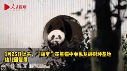 在荒凉中寻找奇迹｜沙漠石林与逆向潮汐的交响