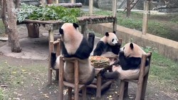 雪夜里的熊与两个年轻人…