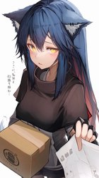 南极迷雾中的饕餮盛宴·一场与自然的邂逅