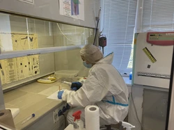 震惊！乌克兰惊现NSA文件泄露·真相究竟是什么？