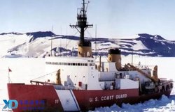 深海里的“海藻精”｜为什么北极海龙能治愈我的精神内耗