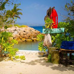 在牙买加的清晨，我看见了“静心”长什么样…