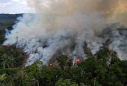 亚马孙雨林离奇失踪密封胶囊—是神秘力量还是科学谜团？