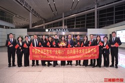 津巴布韦的夜空奇迹·那些神秘的光点背后的故事