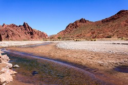 迷雾中的巨兽丨安第斯山脉的未解之谜