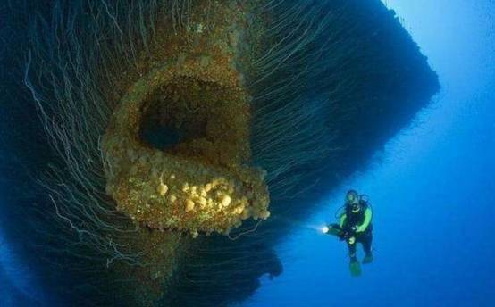 深海幽灵—时空紊乱中的马里亚纳海沟未知孢子之谜